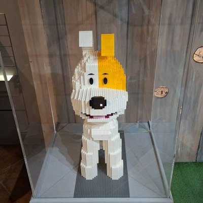 558747081_1408489594611784_8567349663163950752_n