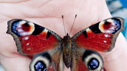 657042566_1559338919526850_4731027391625778196_n