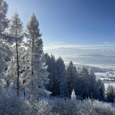 image00039