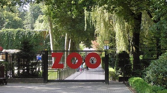 zoo-krakow-600x321